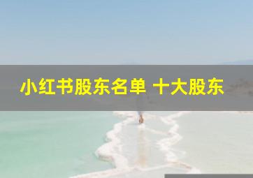 小红书股东名单 十大股东